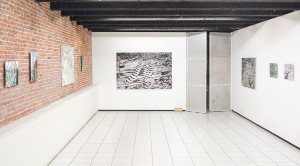 Jaring Lokhorst overzicht