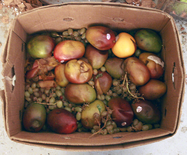 Jasper Griepink, Toine Klaassen & Piet Langeveld_12 Jasper Griepink, Toine Klaassen & Piet Langeveld