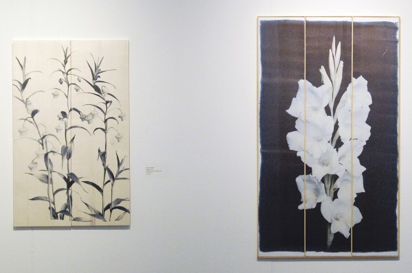 Jedithja de Groot - Huub Vlemmings