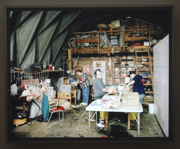 Jeff Wall - Dressing Poultry - Dia in lichtbak 2007