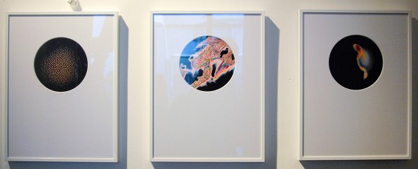 Jet Smits - LLseries 1, 1tm44 - 30x40cm Fotoprints