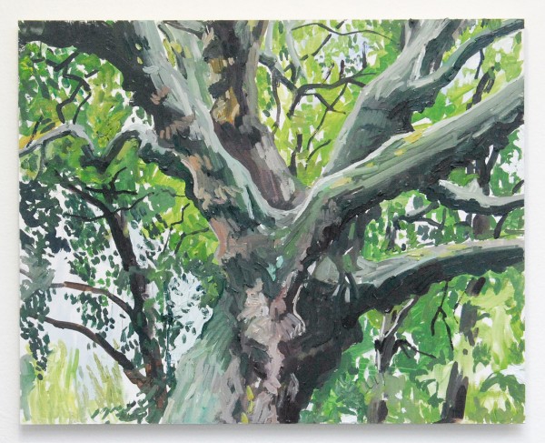 Jim Harris - Chestnut - 40x50cm Olieverf op MDF