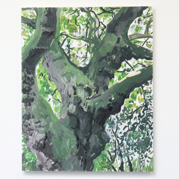 Jim Harris - Chestnut - 50x40cm Olieverf op MDF