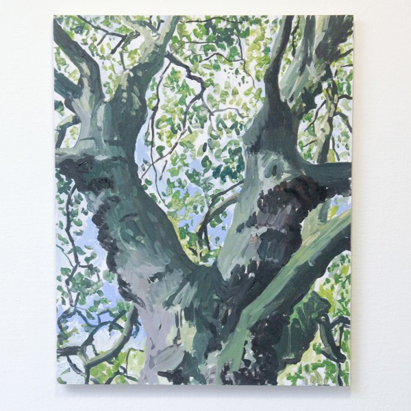 Jim Harris - Chestnut - 50x40cm Olieverf op MDF