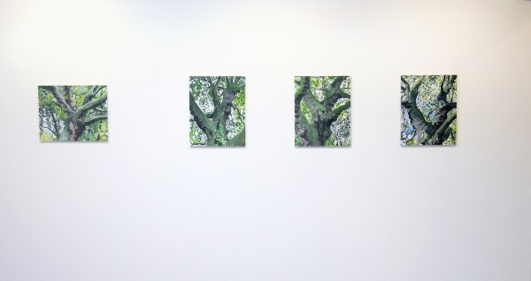 Jim Harris - Chestnut - 50x40cm Olieverf op MDF