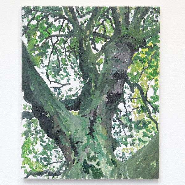 Jim Harris - Chestnut - 50x40cm Olieverf op MDF