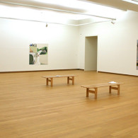 Verdacht is niet het juiste woord, maar opvallend en opmerkelijk zijn het evenmin. Als kunstenaar berucht geworden met zeer minimalistische werken is Jo Baer (1929) inmiddels bezig met vooral zacht [&hellip;]