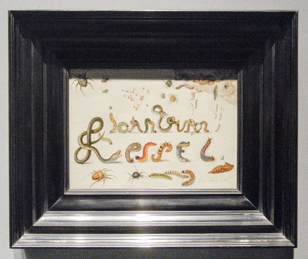 Johnny van Haeften - Jan van Kessel de Oude