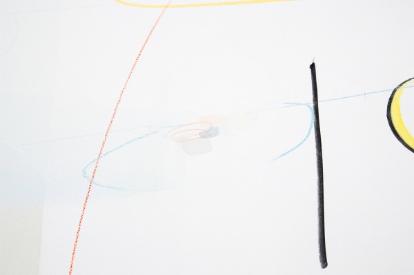 Joost Krijnen - Die Harmonie der Welt - 170x230cm Acrylverf, kleurpotlood, houtskool, potlood, aquarel en tape op MDF (detail)