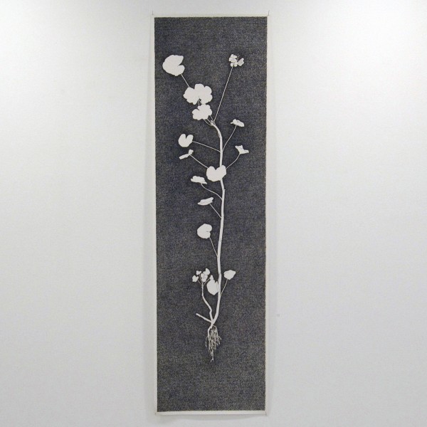 Jorn van Leeuwen - Geranium Meteoor 46 - 139x40cm Pen op papier