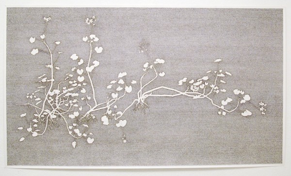 Jorn van Leeuwen - Geranium Meteoor 48 - 233x125cm Pen op papier