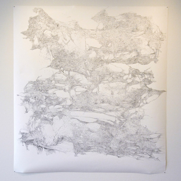 Josine Timmer - Zonder Titel - 165x150cm Inkt op papier