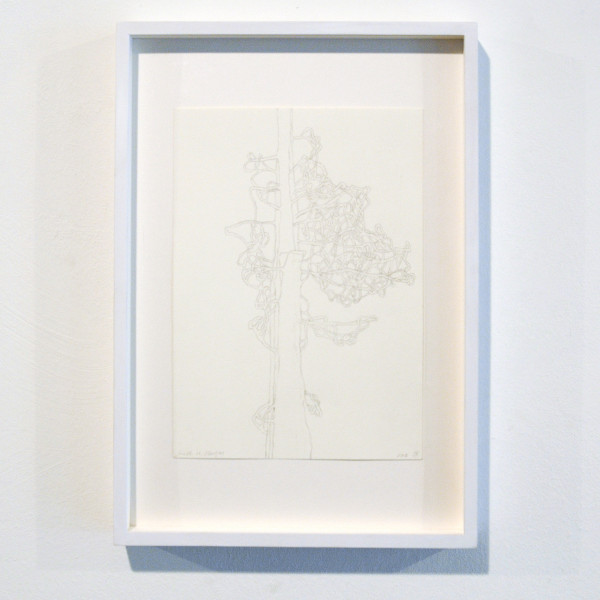 Judith Maria Kleintjes - Zonder Titel (vervlochten boom) - 31x22cm Potlood op papier