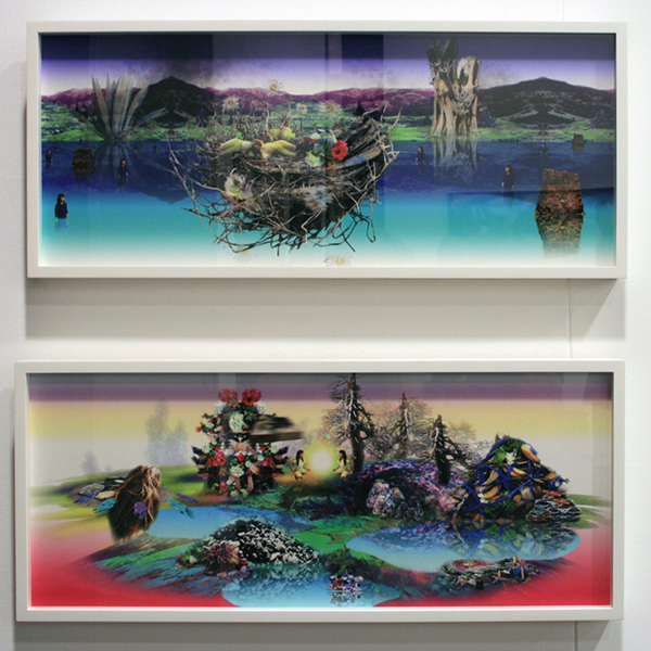 Julie Saul Gallery - Carolyn Janssen