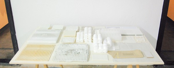 Karlijn Vlaardingenbroek