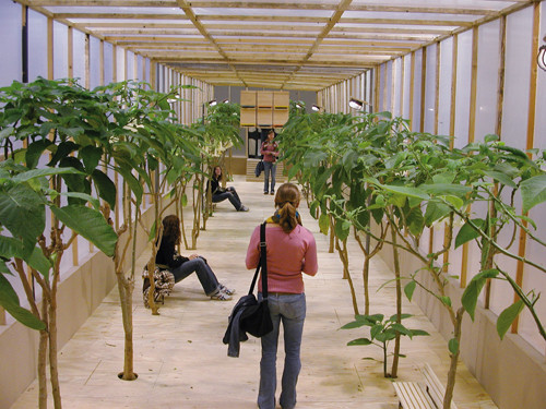 Klaus Weber - Allee der Schlaflosigkeit