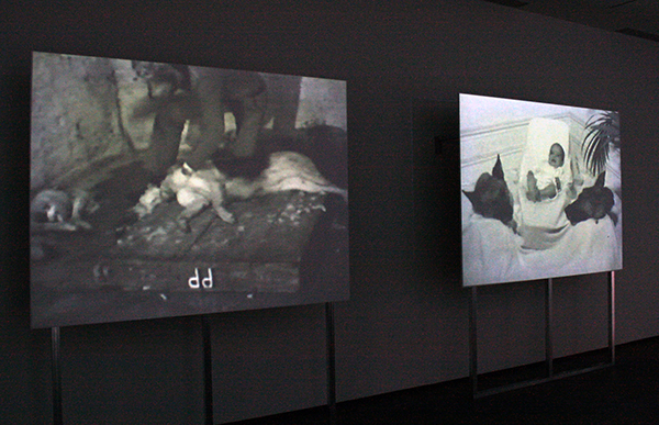 Koen Theys & Dirk Paesmans - Crime 01 - 12,39minuten & 2,38minuten Video-installatie