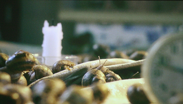 Koen Theys - The Vanitas Reconrd - 33,37minuten HD-Video