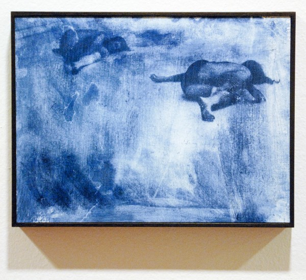 Lara Gasparotto - Installation N 10 - Fotografie (detail)