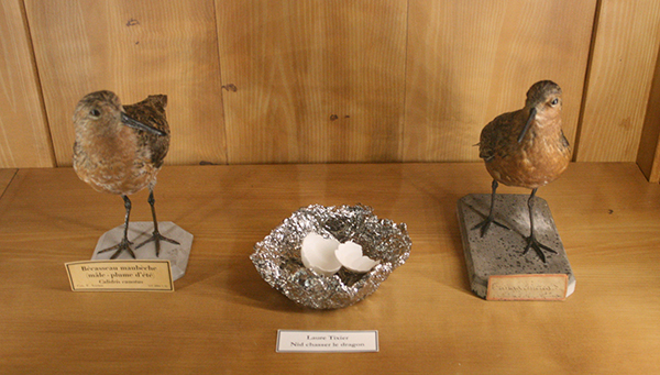 Laurie Tixier - Nid Chasser le Dragon