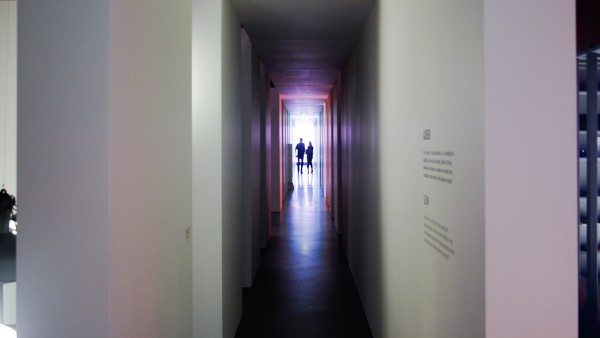 Lekker Licht overzicht