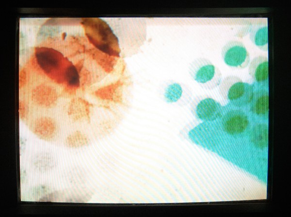 Len Lye - Kaldeidoskope