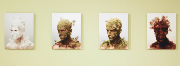 Levi van Veluw - Landscapes I, II, III & IV - Foto op dibond