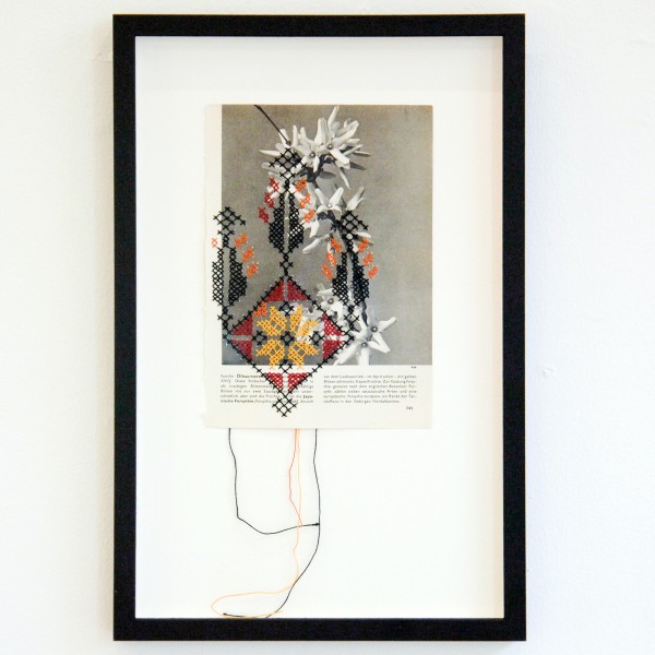 Like van der Made - Prickley Pear p 343 - 42x28cm Borduursel op papier