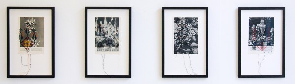 Lieke van der Made - Prickley Pear p 453, 304, 248 & 343 - 42x28cm Borduursel op papiera