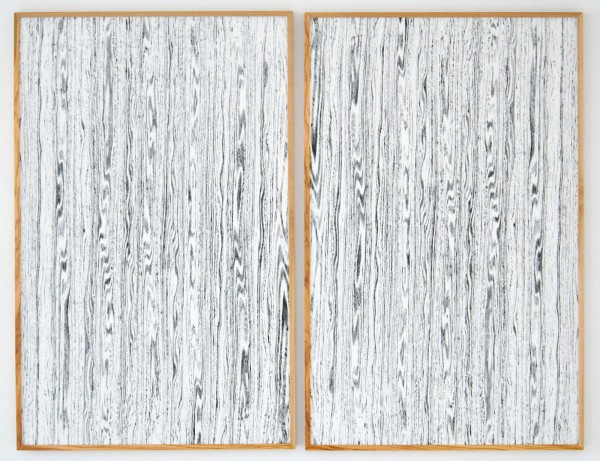 Lisa Oppenheim - Landschape Portraits (Olive) (Version I) - 102x65cm per deel, Twee gelatine fotogrammen in unieke lijsten