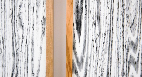 Lisa Oppenheim - Landschape Portraits (Olive) (Version I) - 102x65cm per deel, Twee gelatine fotogrammen in unieke lijsten (detail)