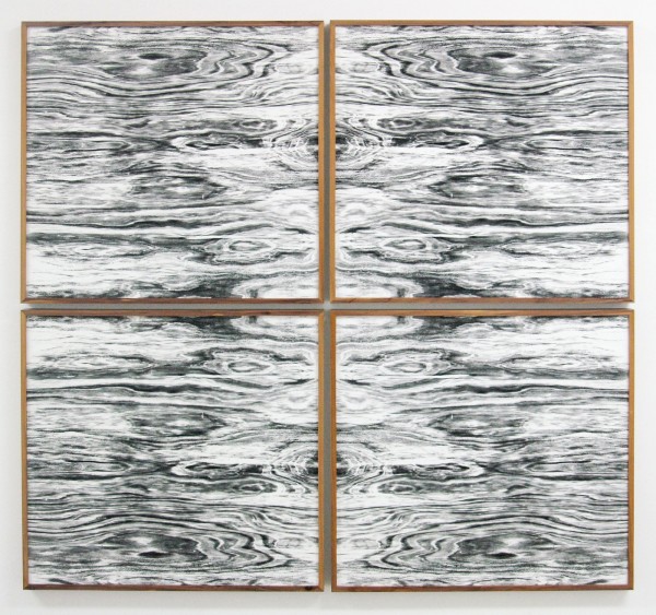 Lisa Oppenheim - Landschape Portraits (Red Cedar) (Version I) - 64x68cm per deel, Vier gelatine fotogrammen in unieke lijsten