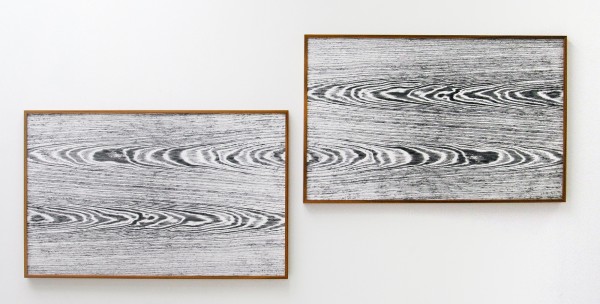 Lisa Oppenheim - Landschape Portraits (Teak) (Version I) - 66x104cm per deel, Twee gelatine fotogrammen in unieke lijsten