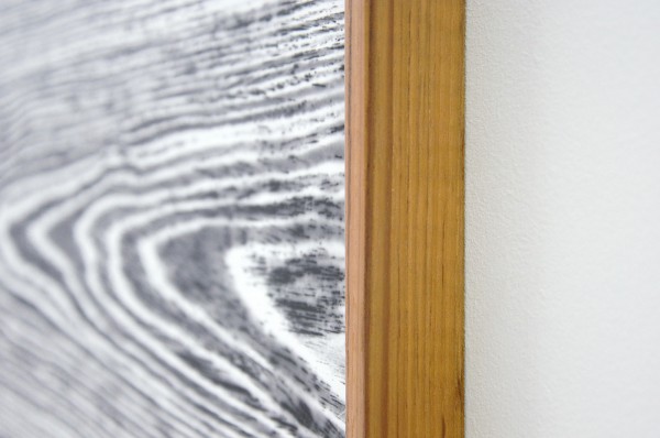 Lisa Oppenheim - Landschape Portraits (Teak) (Version I) - 66x104cm per deel, Twee gelatine fotogrammen in unieke lijsten (detail)