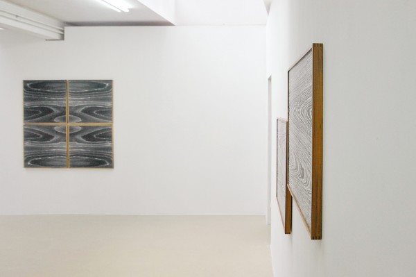 Lisa Oppenheim overzicht