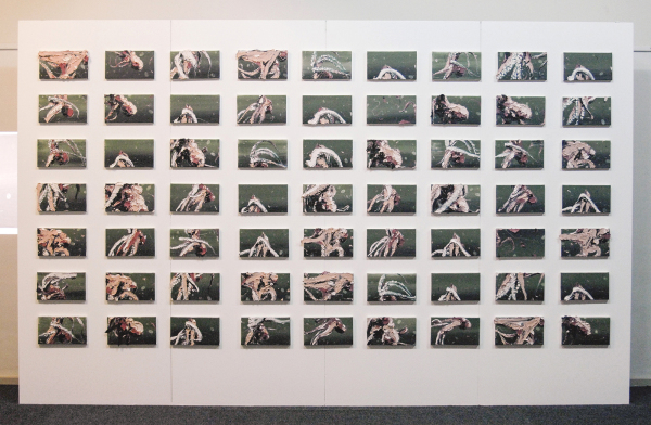 Livingstone Gallery - Simon Schrikker