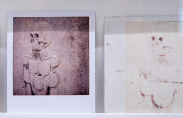 Luc Tuymans - 100 Polaroids (detail)