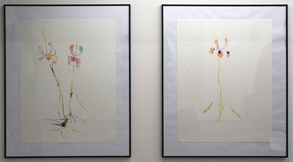 Marc Mulders - Aquarellen - 65x50cm Aquarel op papier Marc Mulders - Aquarellen - 65x50cm Aquarel op papier