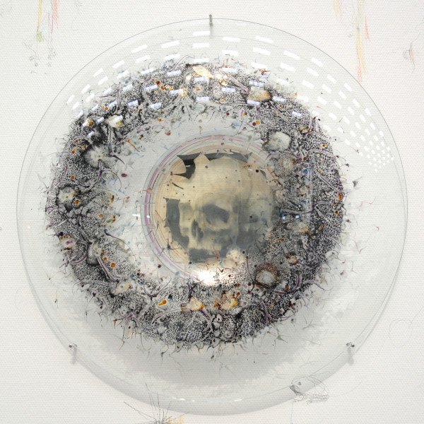 Marc Mulders - Hemelsblauw - 35 schalen en potlood op muur (detail)