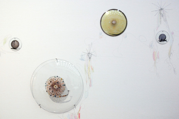 Marc Mulders - Hemelsblauw - 35 schalen en potlood op muur (detail)