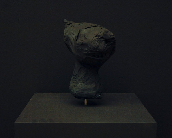 Marcel van Eeden - Sammlung Boryna - Installatie van 66 werken op papier en 2 sculpturen