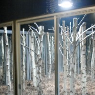 Groningen heeft nog lang het aura gehad dat het het laatste conservatieve schildersbolwerk in Nederland was. Wie zich wilde bekwamen in traditionele schildertechnieken, die ging naar Groningen. Maar op Minerva [&hellip;]