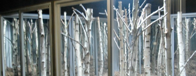 Groningen heeft nog lang het aura gehad dat het het laatste conservatieve schildersbolwerk in Nederland was. Wie zich wilde bekwamen in traditionele schildertechnieken, die ging naar Groningen. Maar op Minerva [&hellip;]