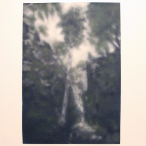 Marielle Buitendijk - Saxonische Schweiz - 215x150cm Spuitbus op papier Marielle Buitendijk - Saxonische Schweiz - 215x150cm Spuitbus op papier