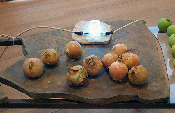 Mario Merz - La Nature e l'Arte del Numero - Metaal, natuursteen, klei, neonbuis, takkenbossen, groente en fruit 1976 (detail)