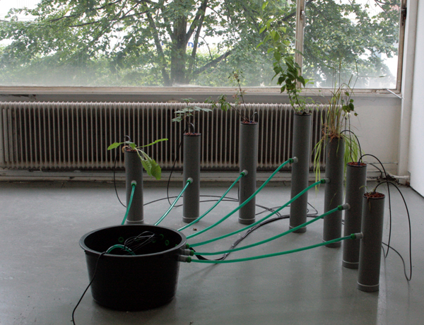 Menno Hiele Menno Hiele