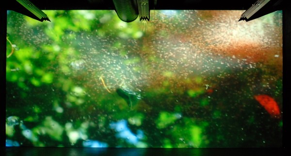 Merel Dames & Akke Houben