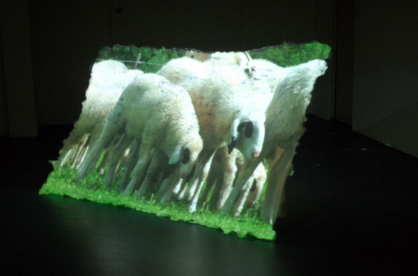 Merel Dames & Akke Houben