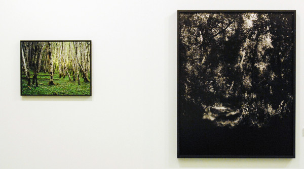 Misha de Ridder - Lost Cabin & Untitled - Foto