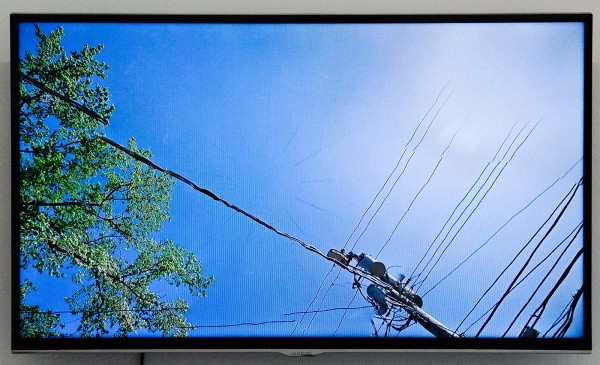 Naime Perrette - Forebear Forward & Work Hard, Play Hard